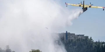 Πρόστιμα σε δύο μελισσοκόμους για τη φωτιά κοντά στη Πανεπιστημιούπολη - Πρόστιμο και στον Πρύτανη για ακαθάριστα οικόπεδα εντός των εγκαταστάσεων του ΕΚΠΑ