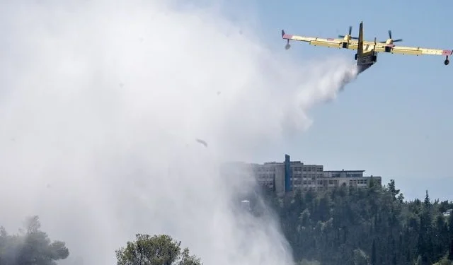 Πρόστιμα σε δύο μελισσοκόμους για τη φωτιά κοντά στη Πανεπιστημιούπολη - Πρόστιμο και στον Πρύτανη για ακαθάριστα οικόπεδα εντός των εγκαταστάσεων του ΕΚΠΑ