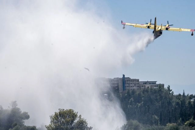 Πρόστιμα σε δύο μελισσοκόμους για τη φωτιά κοντά στη Πανεπιστημιούπολη - Πρόστιμο και στον Πρύτανη για ακαθάριστα οικόπεδα εντός των εγκαταστάσεων του ΕΚΠΑ