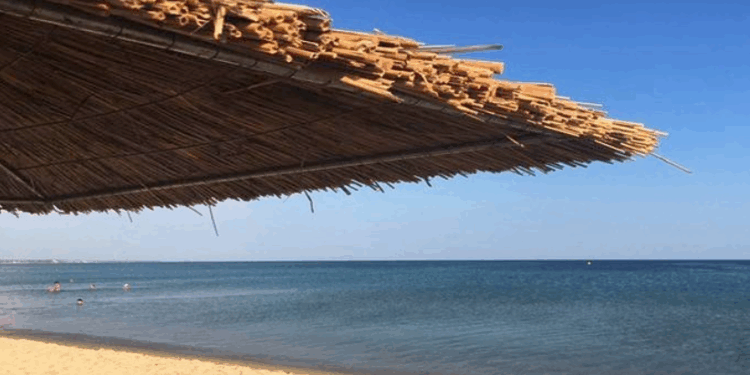 Χαλκιδική: Νεκρός ανασύρθηκε 46χρονος Ρουμάνος από την παραλία της Σάρτης