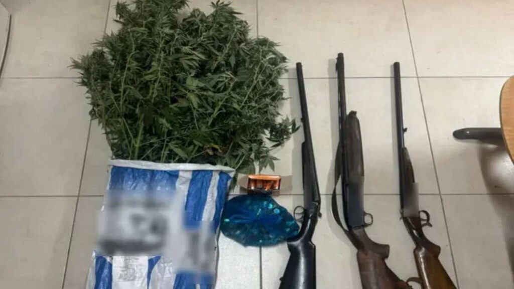 Ζάκυνθος: Σύλληψη 51χρονου για καλλιέργεια δενδρυλλίων κάνναβης και κατοχή όπλων
