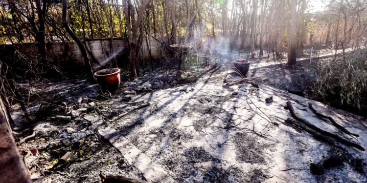 Συνελήφθησαν δύο υπάλληλοι του ΔΕΔΔΗΕ για τη φωτιά στην Κερατέα