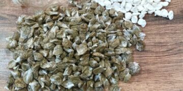 Χανιά: Εντοπίστηκαν ποσότητες κοκαΐνης και κάνναβης στις φυλακές της Αγυιάς – 4 συλλήψεις