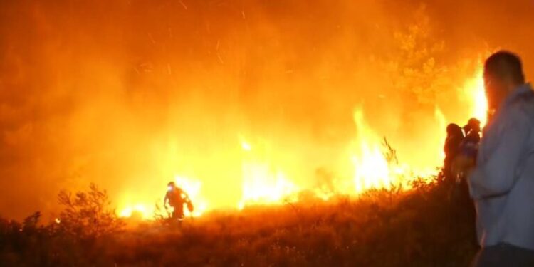 Οινόη: Πυρκαγιά σε χαμηλή βλάστηση - Μήνυμα από το 112 – Διακόπηκε η κυκλοφορία στην EO Eλευσίνας- Θηβών