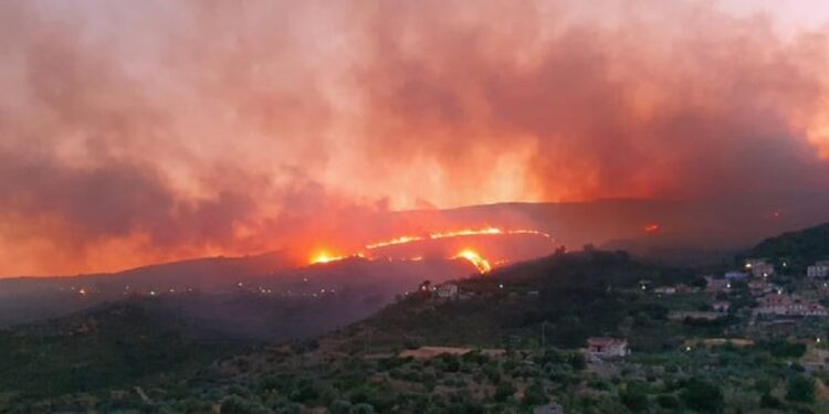 Κεφαλονιά: Πυρκαγιά στη Λαγκάδα Αργοστολίου – Μήνυμα από το 112