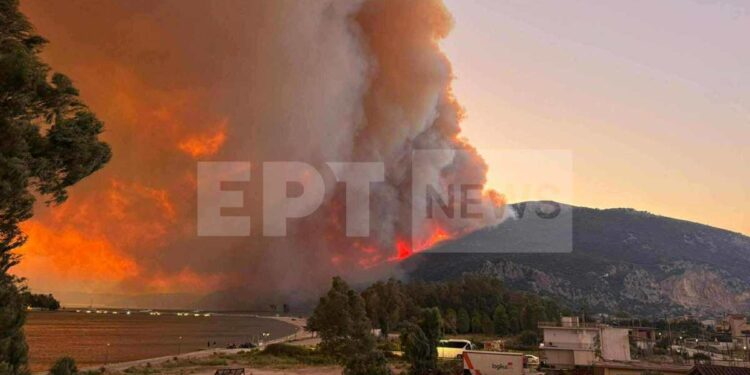Μεγάλη φωτιά στη Ζάκυνθο – Μάχη με τις φλόγες σε Άρτα, Πρέβεζα και Βόνιτσα – Εκκενώνονται οικισμοί