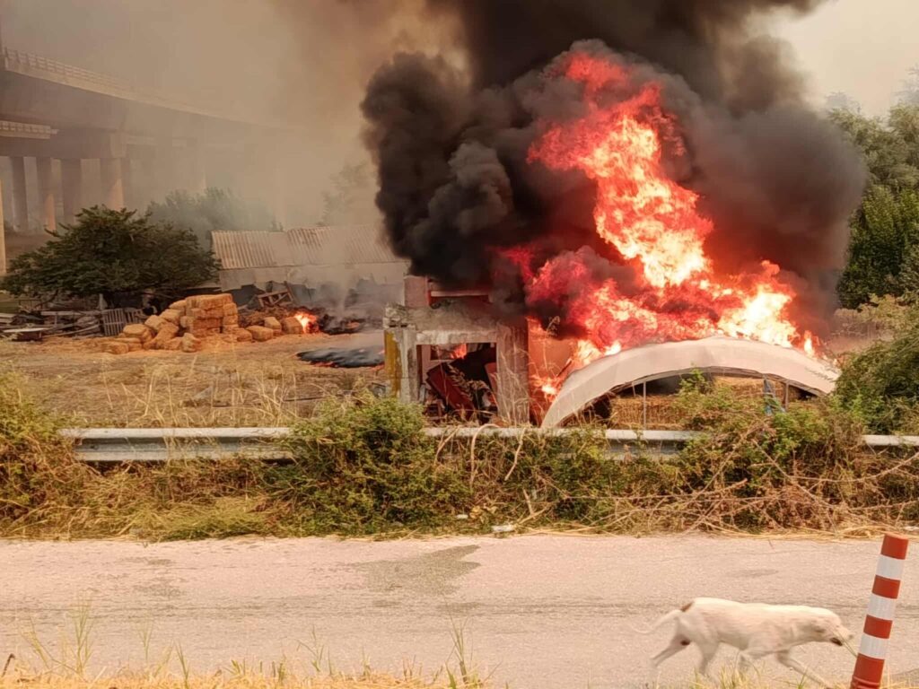 Πυρκαγιά στην Αχαΐα: Συνεχίζεται η μάχη με τις φλόγες– Εκκενώνεται και ο Μπάλας