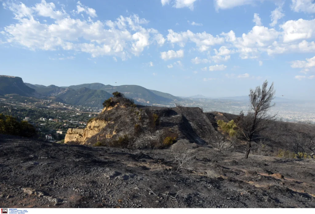 Τρεις συλλήψεις για τη φωτιά στην Αχαΐα - 19χρονος ομολόγησε τον εμπρησμό στα Συχαινά