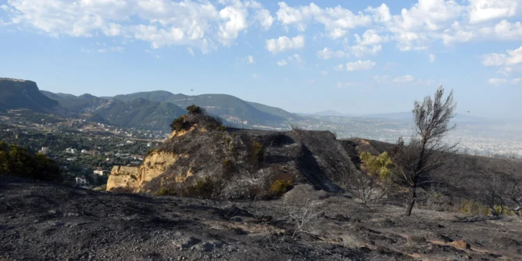 Τρεις συλλήψεις για τη φωτιά στην Αχαΐα - 19χρονος ομολόγησε τον εμπρησμό στα Συχαινά