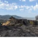 Τρεις συλλήψεις για τη φωτιά στην Αχαΐα - 19χρονος ομολόγησε τον εμπρησμό στα Συχαινά