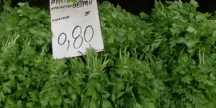 Η πρώτη απογευματινή λαϊκή αγορά στην Ελλάδα θα λειτουργήσει στις 10 Σεπτεμβρίου στη δυτική Θεσσαλονίκη