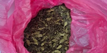 Ελεγκτές της ΑΑΔΕ εντόπισαν και κατέσχεσαν μισό τόνο ναρκωτικών στο “Ελ. Βενιζέλος”