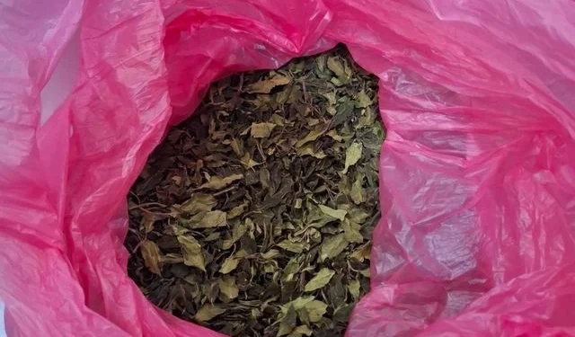 Ελεγκτές της ΑΑΔΕ εντόπισαν και κατέσχεσαν μισό τόνο ναρκωτικών στο “Ελ. Βενιζέλος”