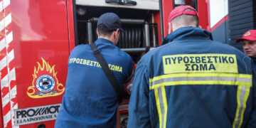 Χαλκιδική: Συνελήφθη ένα άτομο για την πυρκαγιά σε χαμηλή βλάστηση στον Δήμο Πολυγύρου