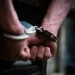 Λάρισα: Συνελήφθη 78χρονος που κλώτσησε και σκότωσε γάτα