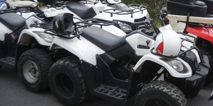 Μύκονος: Συνελήφθησαν τέσσερα μέλη της συμμορίας με τις γουρούνες – Πάνω από 130.000 ευρώ η λεία τους