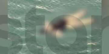 Νεκρή γυναίκα εντοπίστηκε στο λιμάνι του Πειραιά