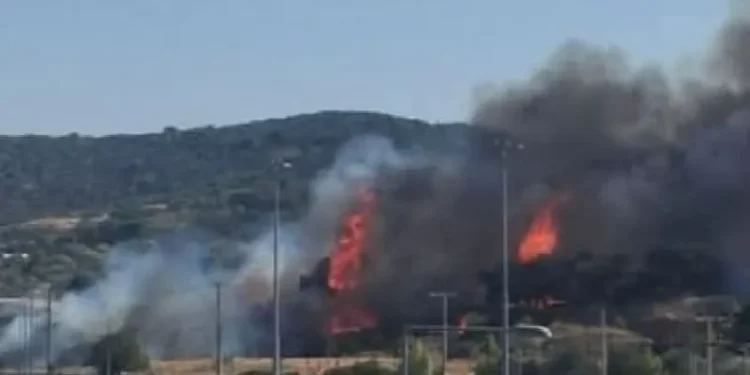 Συνελήφθη 62χρονος αλλοδαπός και κατηγορείται για εμπρησμό στην πυρκαγιά στην Κάντζα