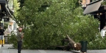 Κακοκαιρία στη Δυτική Ελλάδα με ισχυρούς ανέμους, μπουρίνια και πτώσεις δέντρων
