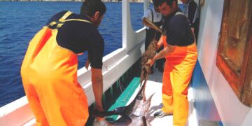 Ανακοίνωση ΣΥΡΙΖΑ-ΠΣ για το επεισόδιο με τούρκους ψαράδες: "Απρόθυμη η κυβέρνηση να υπερασπιστεί τα κυριαρχικά δικαιώματα της χώρας και τους Έλληνες αλιείς"