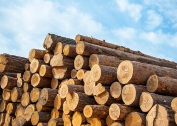 ΗΠΑ: επιβάλλουν νέους δασμούς σε προϊόντα ξυλείας