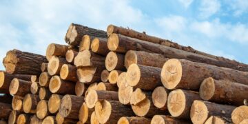 ΗΠΑ: επιβάλλουν νέους δασμούς σε προϊόντα ξυλείας