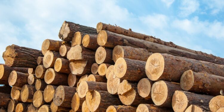 ΗΠΑ: επιβάλλουν νέους δασμούς σε προϊόντα ξυλείας