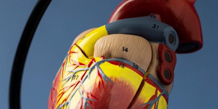 Μπείτε στον ρυθμό… της καρδιάς με μαγνητική τομογραφία καρδιάς!