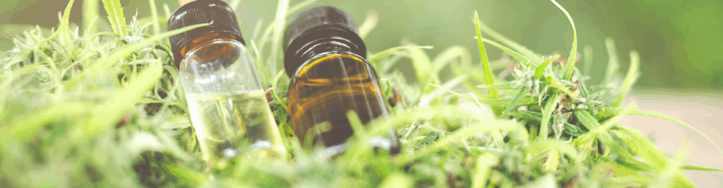 Ανακαλύψτε κι εσείς τα οφέλη του CBD Oil