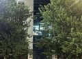 Προφυλακιστέοι οι δύο κατηγορούμενοι για τη διπλή δολοφονία στη Φοινικούντα – Αλληλοκατηγορούνται για το ποιος πάτησε τη σκανδάλη