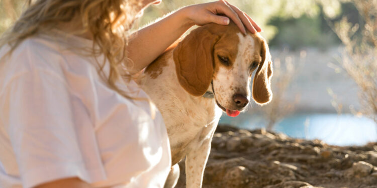 Η Καθημερινή Φροντίδα Συνεπάγεται και Δια Βίου Υγεία