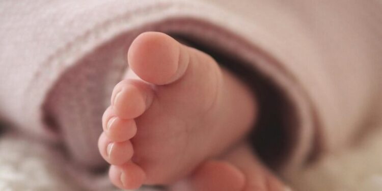 Ιταλία: Ιστορικό ρεκόρ υπογεννητικότητας
