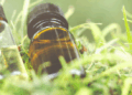 Ανακαλύψτε κι εσείς τα οφέλη του CBD Oil
