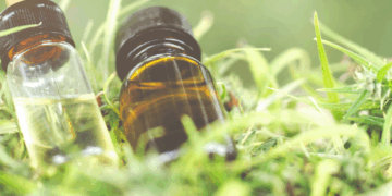 Ανακαλύψτε κι εσείς τα οφέλη του CBD Oil