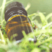 Ανακαλύψτε κι εσείς τα οφέλη του CBD Oil