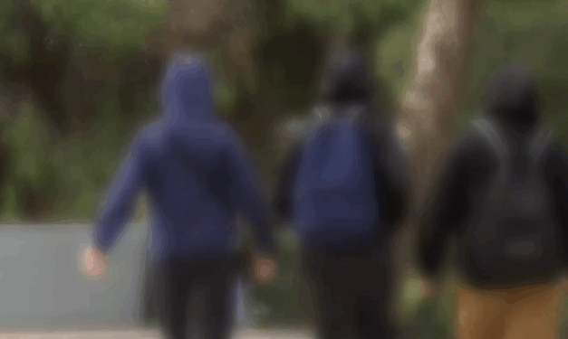 Κάτω Αχαΐα: Συνελήφθησαν τρεις ανήλικοι για εμπορία και χρήση ναρκωτικών - 13χρονος κατέρρευσε μετά από χρήση κάνναβης μέσα σε σχολείο