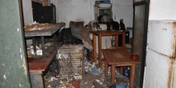 Δονούσα: Πρωτοφανές πρόστιμο - μαμούθ πάνω από 1,7 εκατ. ευρώ σε 63χρονο που βασάνιζε 58 γάτες