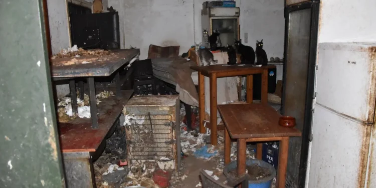 Δονούσα: Πρωτοφανές πρόστιμο - μαμούθ πάνω από 1,7 εκατ. ευρώ σε 63χρονο που βασάνιζε 58 γάτες