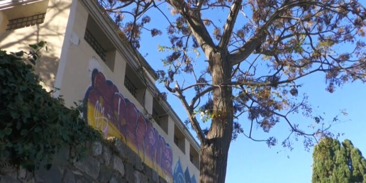 Κως: Νεαρός Τσέχος βρέθηκε απαγχονισμένος σε αρχαιολογικό χώρο