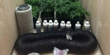 Πρώην αθλήτρια της ενόργανης γυμναστικής, που πήρε μέρος στους Ολυμπιακούς Αγώνες του 2004, ανάμεσα στα μέλη εγκληματικής οργάνωσης που συνελήφθησαν για τις τηλεφωνικές απάτες με λεία 7,6 εκατ. ευρώ