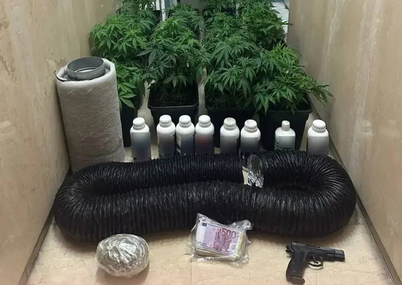 Πρώην αθλήτρια της ενόργανης γυμναστικής, που πήρε μέρος στους Ολυμπιακούς Αγώνες του 2004, ανάμεσα στα μέλη εγκληματικής οργάνωσης που συνελήφθησαν για τις τηλεφωνικές απάτες με λεία 7,6 εκατ. ευρώ