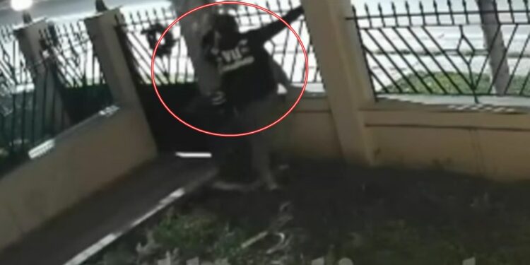 Θεσσαλονίκη: Kλέφτης έκλεψε xριστουγεννιάτικο δέντρο από κήπο στο Ρεντζίκι