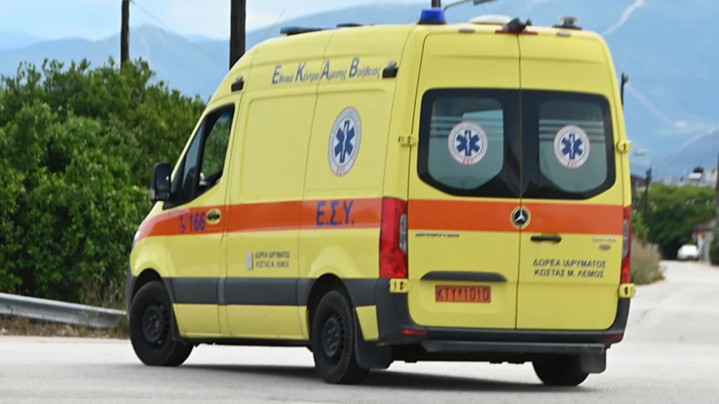 Φθιώτιδα: Τραγωδία σε χωριό του Δομοκού με 50χρονο που πέθανε μετά από τσίμπημα μέλισσας - Έτρεξε να σωθεί και βγήκε εκτός δρόμου με το αυτοκίνητο