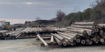 Εμποτισμός Ξύλου με Κρεόζωτο: Η Πιο Αξιόπιστη Λύση για Υποδομές που Αντέχουν Δεκαετίες