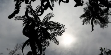 Ο καιρός σήμερα, Δευτέρα 8 Δεκεμβρίου 2025