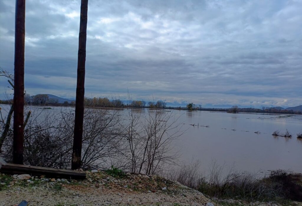 Υπερχείλιση του Πηνειού ποταμού - Πλημμύρισαν χιλιάδες στρέμματα καλλιεργειών σε Τρίκαλα και Λάρισα