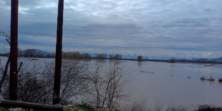 Υπερχείλιση του Πηνειού ποταμού - Πλημμύρισαν χιλιάδες στρέμματα καλλιεργειών σε Τρίκαλα και Λάρισα