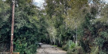 Υπόθεση της διπλής δολοφονίας σε κάμπινγκ στη Φοινικούντα: Συνελήφθησαν ο ανιψιός του ιδιοκτήτη και επιχειρηματίας φίλος του