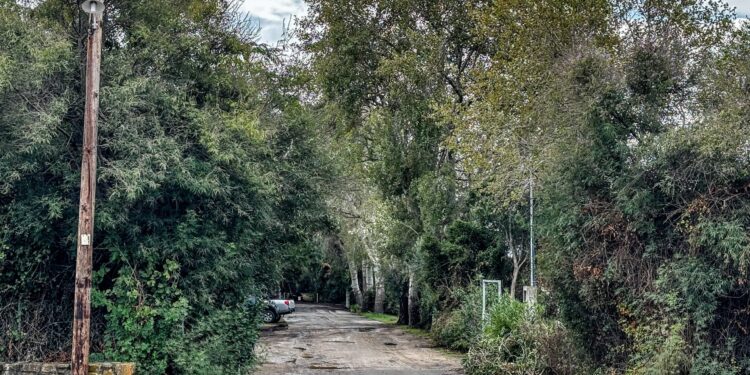 Υπόθεση της διπλής δολοφονίας σε κάμπινγκ στη Φοινικούντα: Συνελήφθησαν ο ανιψιός του ιδιοκτήτη και επιχειρηματίας φίλος του