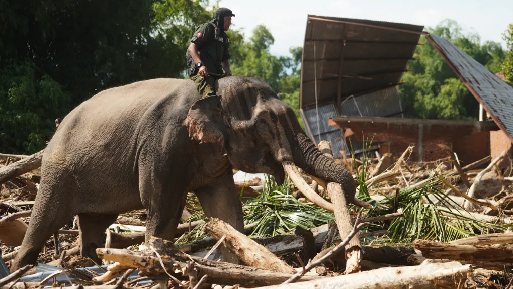 Τραγικός απολογισμός από τις πλημμύρες στην Ινδονησία: Πάνω από χίλιοι οι νεκροί